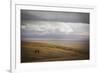 Grassland Grazing-Andrew Geiger-Framed Giclee Print