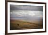 Grassland Grazing-Andrew Geiger-Framed Giclee Print