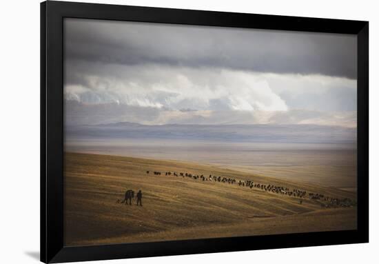 Grassland Grazing-Andrew Geiger-Framed Giclee Print