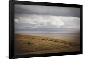 Grassland Grazing-Andrew Geiger-Framed Giclee Print