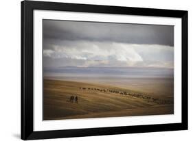 Grassland Grazing-Andrew Geiger-Framed Giclee Print