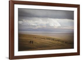 Grassland Grazing-Andrew Geiger-Framed Giclee Print