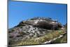 Grassland on Santorini Island-sophysweden-Mounted Photographic Print