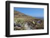 Grassland on Santorini Island-sophysweden-Framed Photographic Print