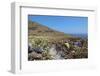 Grassland on Santorini Island-sophysweden-Framed Photographic Print