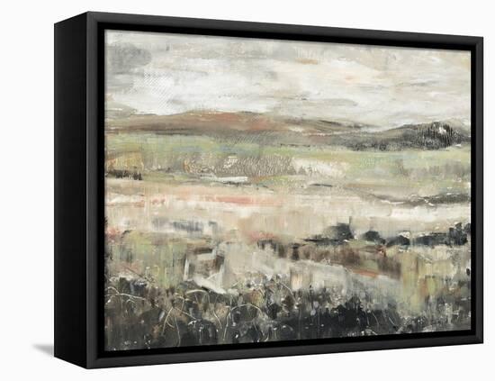 Grassland Showers II-null-Framed Stretched Canvas