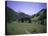 Grassland Surrounded by Mountains, Colorado-Michael Brown-Stretched Canvas