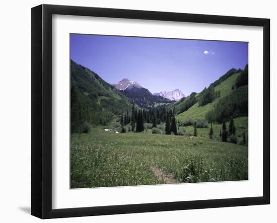 Grassland Surrounded by Mountains, Colorado-Michael Brown-Framed Premium Photographic Print