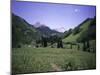 Grassland Surrounded by Mountains, Colorado-Michael Brown-Mounted Premium Photographic Print