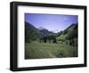 Grassland Surrounded by Mountains, Colorado-Michael Brown-Framed Photographic Print