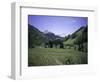 Grassland Surrounded by Mountains, Colorado-Michael Brown-Framed Photographic Print