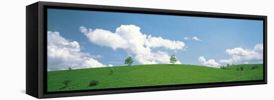 Grassland with Blue Sky and Clouds-null-Framed Stretched Canvas