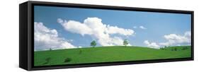 Grassland with Blue Sky and Clouds-null-Framed Stretched Canvas
