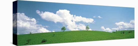 Grassland with Blue Sky and Clouds-null-Stretched Canvas