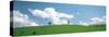Grassland with Blue Sky and Clouds-null-Stretched Canvas