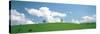 Grassland with Blue Sky and Clouds-null-Stretched Canvas