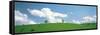 Grassland with Blue Sky and Clouds-null-Framed Stretched Canvas