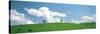 Grassland with Blue Sky and Clouds-null-Stretched Canvas