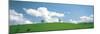 Grassland with Blue Sky and Clouds-null-Mounted Premium Photographic Print