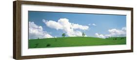 Grassland with Blue Sky and Clouds-null-Framed Photographic Print