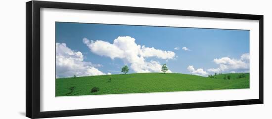 Grassland with Blue Sky and Clouds-null-Framed Photographic Print