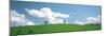 Grassland with Blue Sky and Clouds-null-Mounted Photographic Print