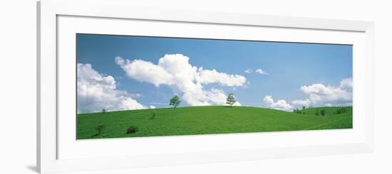 Grassland with Blue Sky and Clouds-null-Framed Photographic Print