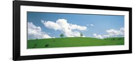 Grassland with Blue Sky and Clouds-null-Framed Photographic Print