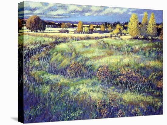 Grasslands-Claude Rousseau-Stretched Canvas