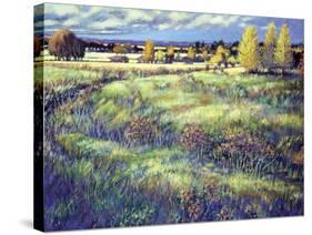 Grasslands-Claude Rousseau-Stretched Canvas