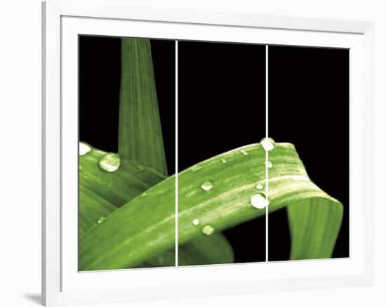 Grassy Dew-Douglas Yan-Framed Giclee Print