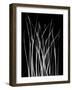 Grassy Heaven-Albert Koetsier-Framed Art Print