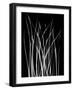Grassy Heaven-Albert Koetsier-Framed Art Print