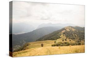 Grassy Hills and Mountains-Aledanda-Stretched Canvas