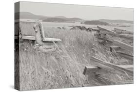 Grassy Knoll BW-Dana Styber-Stretched Canvas