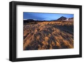 Grassy Landscape and Snow-Covered Mountains Bathed in Winter Light-Lee Frost-Framed Photographic Print