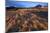 Grassy Landscape and Snow-Covered Mountains Bathed in Winter Light-Lee Frost-Mounted Photographic Print