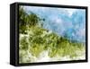 Grassy Meadow-Chamira Young-Framed Stretched Canvas