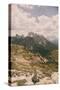 Grassy Mountain Slopes-Aledanda-Stretched Canvas