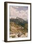 Grassy Mountain Slopes-Aledanda-Framed Photographic Print