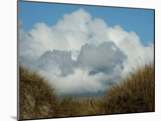 Grassy Sand Dunes and Clouds-Katrin Adam-Mounted Photographic Print