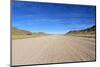 Grassy Savannah with Mountains in Background, Namib Desert Road to Sesriem-Carlos Neto-Mounted Photographic Print