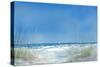 Grassy Seascape-Julie DeRice-Stretched Canvas