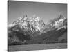 Grassy Valley Tree Covered Mt Side And Snow Covered Peaks Grand "Teton NP" Wyoming 1933-1942-Ansel Adams-Stretched Canvas