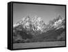 Grassy Valley Tree Covered Mt Side And Snow Covered Peaks Grand "Teton NP" Wyoming 1933-1942-Ansel Adams-Framed Stretched Canvas