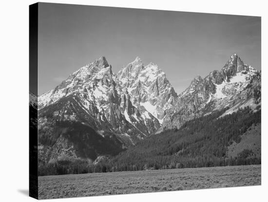 Grassy Valley Tree Covered Mt Side And Snow Covered Peaks Grand "Teton NP" Wyoming 1933-1942-Ansel Adams-Stretched Canvas