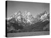 Grassy Valley Tree Covered Mt Side And Snow Covered Peaks Grand "Teton NP" Wyoming 1933-1942-Ansel Adams-Stretched Canvas