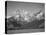 Grassy Valley Tree Covered Mt Side And Snow Covered Peaks Grand "Teton NP" Wyoming 1933-1942-Ansel Adams-Stretched Canvas