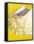 Grated Cheese with Grater on Yellow Plate-Dave King-Framed Stretched Canvas