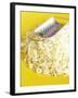 Grated Cheese with Grater on Yellow Plate-Dave King-Framed Photographic Print